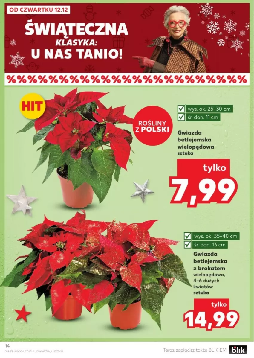 Gazetka promocyjna Kaufland - ważna 12.12 do 18.12.2024 - strona 7 - produkty: Gwiazda