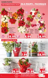 Gazetka promocyjna Kaufland - OFERTA TYGODNIA - Gazetka - ważna od 26.05 do 26.05.2021 - strona 8 - produkty: Piec, Ser, Róża, Kosz, Wazon, Bukiet