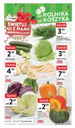 Gazetka promocyjna Intermarche - Gazetka - ważna od 18.10 do 18.10.2023 - strona 10 - produkty: Makaron, Pietruszka, Sałata lodowa, Ogórek, Sałat, Natka pietruszki