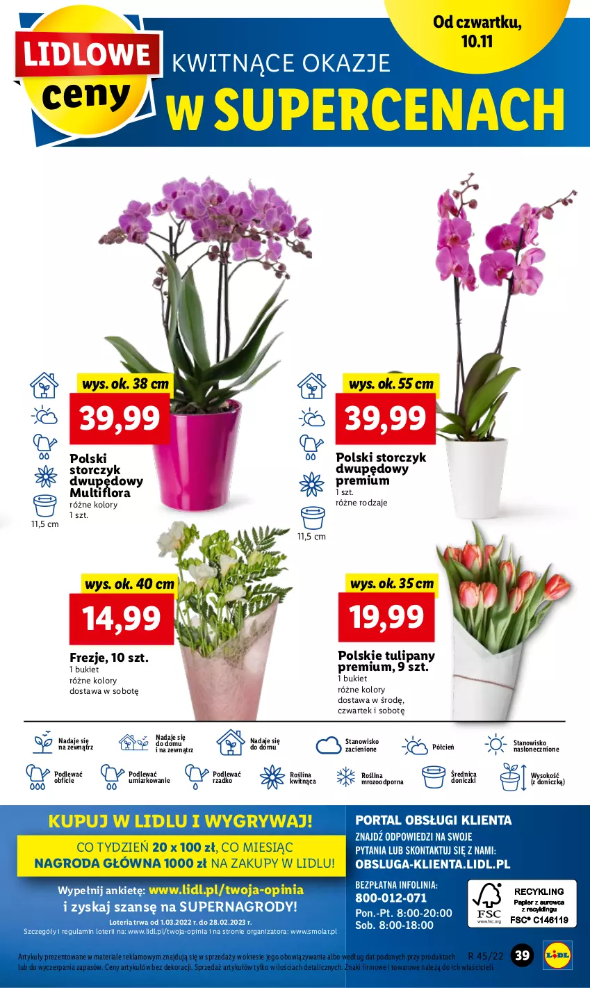 Gazetka promocyjna Lidl - GAZETKA - ważna 10.11 do 12.11.2022 - strona 43 - produkty: Bukiet, Cień, Flora, Gry, Mola, O nas, Por, Sok, Storczyk, Tulipan