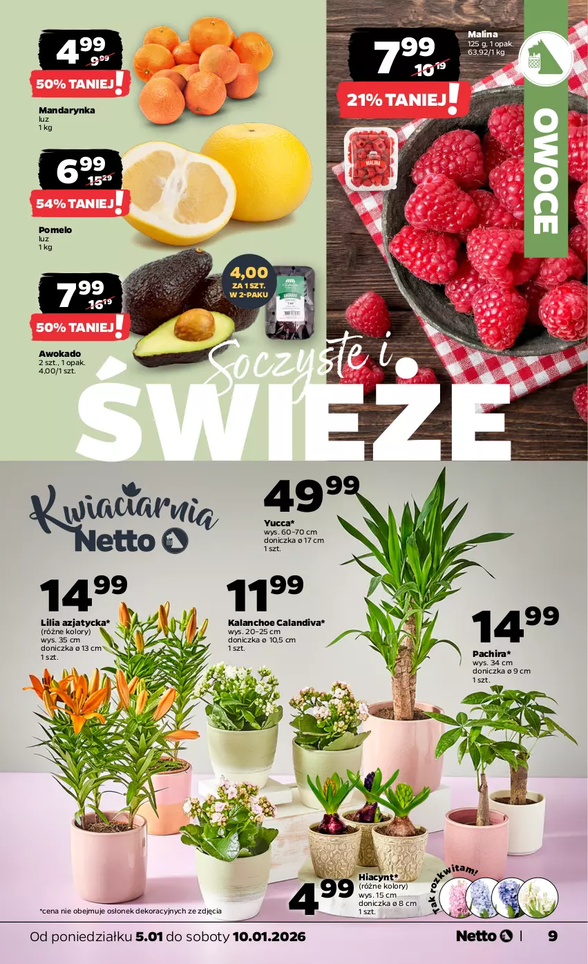 Gazetka promocyjna Netto - Od Poniedziałku - ważna 05.01 do 10.01.2026 - strona 9 - produkty: Hiacynt, Kalanchoe, Owoce, Pomelo