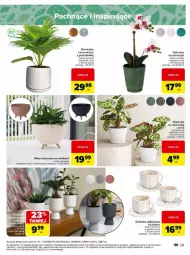 Gazetka promocyjna Carrefour - Gazetka - ważna od 26.01 do 26.01.2025 - strona 22 - produkty: Miętus, Storczyk, Filiżanka, Osłonka