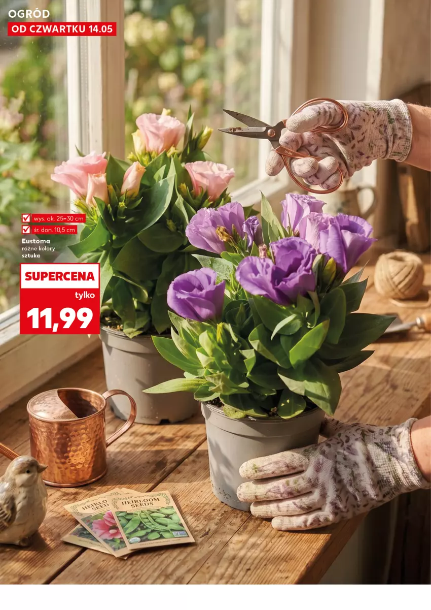 Gazetka promocyjna Kaufland - Kaufland - ważna 14.05 do 20.05.2026 - strona 10