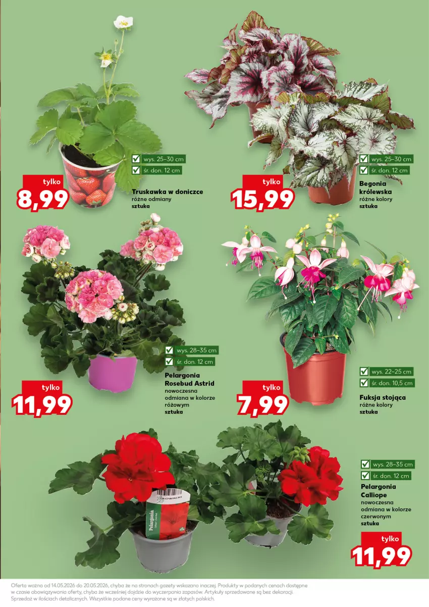 Gazetka promocyjna Kaufland - Kaufland - ważna 14.05 do 20.05.2026 - strona 11 - produkty: Astrid
