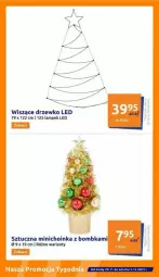 Gazetka promocyjna Action - Gazetka - ważna od 05.12 do 05.12.2023 - strona 7 - produkty: Choinka, Inka