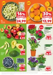 Gazetka promocyjna Kaufland - Gazetka tygodnia - Gazetka - ważna od 21.05 do 21.05.2025 - strona 15 - produkty: Kosz, Nektar