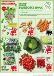 Gazetka promocyjna Kaufland - Gazetka - ważna od 08.05 do 08.05.2024 - strona 2 - produkty: Sałat, Danio, Pomidory