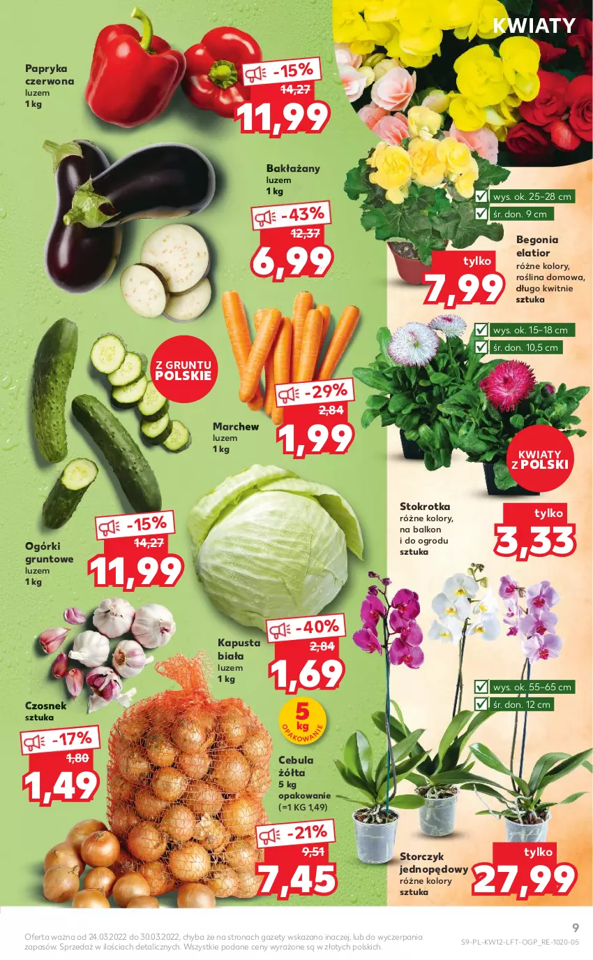 Gazetka promocyjna Kaufland - OFERTA TYGODNIA - ważna 24.03 do 30.03.2022 - strona 9 - produkty: Cebula, Czosnek, Grunt, Papryka, Papryka czerwona, Storczyk