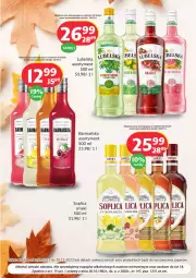 Gazetka promocyjna Prim Market - Gazetka - ważna od 30.11 do 30.11.2023 - strona 2 - produkty: Soplica, Mięta