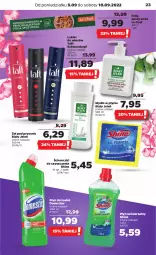 Gazetka promocyjna Netto - Artykuły spożywcze - Gazetka - ważna od 10.09 do 10.09.2022 - strona 23 - produkty: Domestos, Mydło w płynie, Biały Jeleń, Schwarzkopf, Taft, Lakier do włosów, Mydło, Lakier