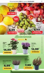 Gazetka promocyjna Netto - Artykuły spożywcze - Gazetka - ważna od 10.09 do 10.09.2022 - strona 7 - produkty: Gra, Hibiskus, Melon