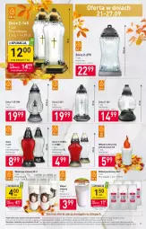 Gazetka promocyjna Stokrotka - Supermarket - Gazetka - ważna od 27.09 do 27.09.2023 - strona 23 - produkty: Warzywa, Znicz, Owoce, Olej, Mięso, Wkład olejowy