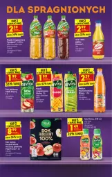 Gazetka promocyjna Biedronka - W tym tygodniu - Gazetka - ważna od 15.01 do 15.01.2022 - strona 41 - produkty: Sok, Kaktus, Napój niegazowany, Napój, Mięta