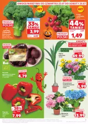 Gazetka promocyjna Kaufland - Gazetka tygodnia - Gazetka - ważna od 29.07 do 29.07.2026 - strona 5 - produkty: Buraczki, Warzywa, Chryzantema, Papryka czerwona, Papryka, Palma, Owoce, Rzodkiewka, Kokos