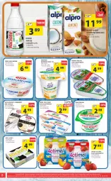 Gazetka promocyjna Arhelan - Gazetka - Gazetka - ważna od 04.02 do 04.02.2024 - strona 8 - produkty: Serek wiejski, Ser, Rum, Danone, Twaróg, Piątnica, Brie, Jogurt, Mlekovita, Actimel, Mascarpone, Serek, Vita C, Camembert, Twój Smak, Ser pleśniowy, Alpro, Napój, Mleko