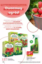 Gazetka promocyjna Auchan - Gazetka Piękno wokół Twojego domu Hipermarket Auchan - Gazetka - ważna od 15.05 do 15.05.2024 - strona 24 - produkty: Por, Maliny, Winogrona, Wino, Nawóz