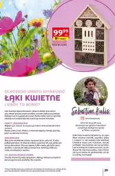 Gazetka promocyjna Auchan - Gazetka Piękno wokół Twojego domu Hipermarket Auchan - Gazetka - ważna od 15.05 do 15.05.2024 - strona 29 - produkty: Rum, Por, Gry, Gra, Ogród, Mięta