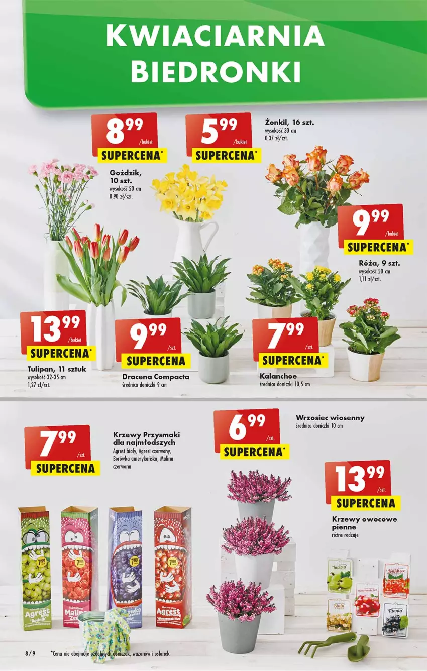 Gazetka promocyjna Biedronka - W tym tygodniu - ważna 28.03 do 02.04.2022 - strona 8 - produkty: Borówka, Borówka amerykańska, Gres, Przysmaki, Sok, Tulipan, Wazon