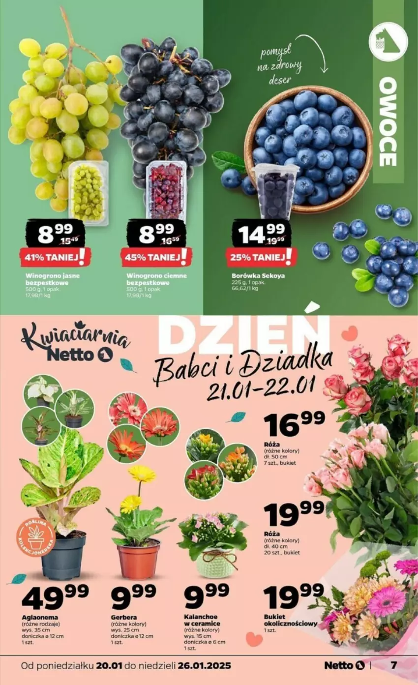 Gazetka promocyjna Netto - ważna 20.01 do 26.01.2025 - strona 24 - produkty: Amica, Bukiet, Fa, Gerber, Kalanchoe, Róża