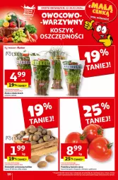 Gazetka promocyjna Auchan - Gazetka z MAŁĄ CENKĄ dźwigniesz więcej! Hipermarket Auchan - Gazetka - ważna od 28.02 do 28.02.2024 - strona 10 - produkty: Ser, Ziemniaki, Tran, Pomidory
