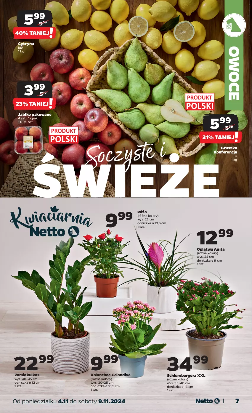 Gazetka promocyjna Netto - Od Poniedziałku - ważna 04.11 do 09.11.2024 - strona 7 - produkty: Kalanchoe, Owoce, Róża