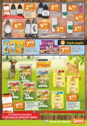 Gazetka promocyjna Gama - Gazetka Gama - Gazetka - ważna od 28.10 do 28.10.2025 - strona 9 - produkty: BIC, Zapalniczka, Bols, Bolsius, Whiskas, Friskies, Znicz, Pedigree, Przysmak dla psa