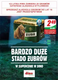 Gazetka promocyjna Dino - Gazetka 28 / 2024 - Gazetka - ważna od 16.07 do 16.07.2024 - strona 49 - produkty: Piwa, Piwo, Gra