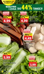 Gazetka promocyjna Lidl - GAZETKA - Gazetka - ważna od 06.05 do 06.05.2023 - strona 6 - produkty: Warzywa, Sałata masłowa, Kolendra, Sałat, Masło, Boczniak