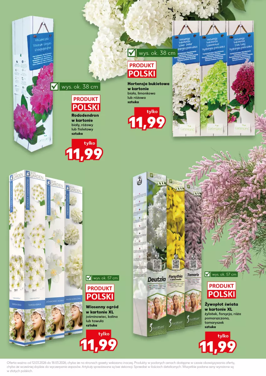 Gazetka promocyjna Kaufland - Kaufland - ważna 12.03 do 18.03.2026 - strona 11 - produkty: Bukiet, Mars, Ogród, Róża, Stek