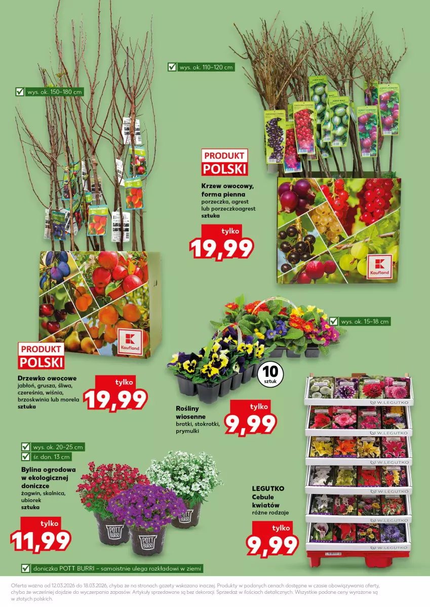 Gazetka promocyjna Kaufland - Kaufland - ważna 12.03 do 18.03.2026 - strona 13 - produkty: Gres, Morela, Por