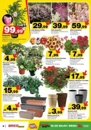 Gazetka promocyjna Bricomarche - Gazetka - ważna od 19.04 do 19.04.2025 - strona 13 - produkty: Koc, Surf, Tera, Osłonka