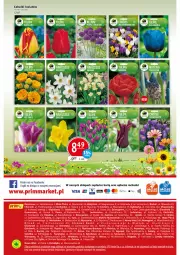 Gazetka promocyjna Prim Market - Gazetka - ważna od 20.09 do 20.09.2023 - strona 16 - produkty: LG, HP, Fa