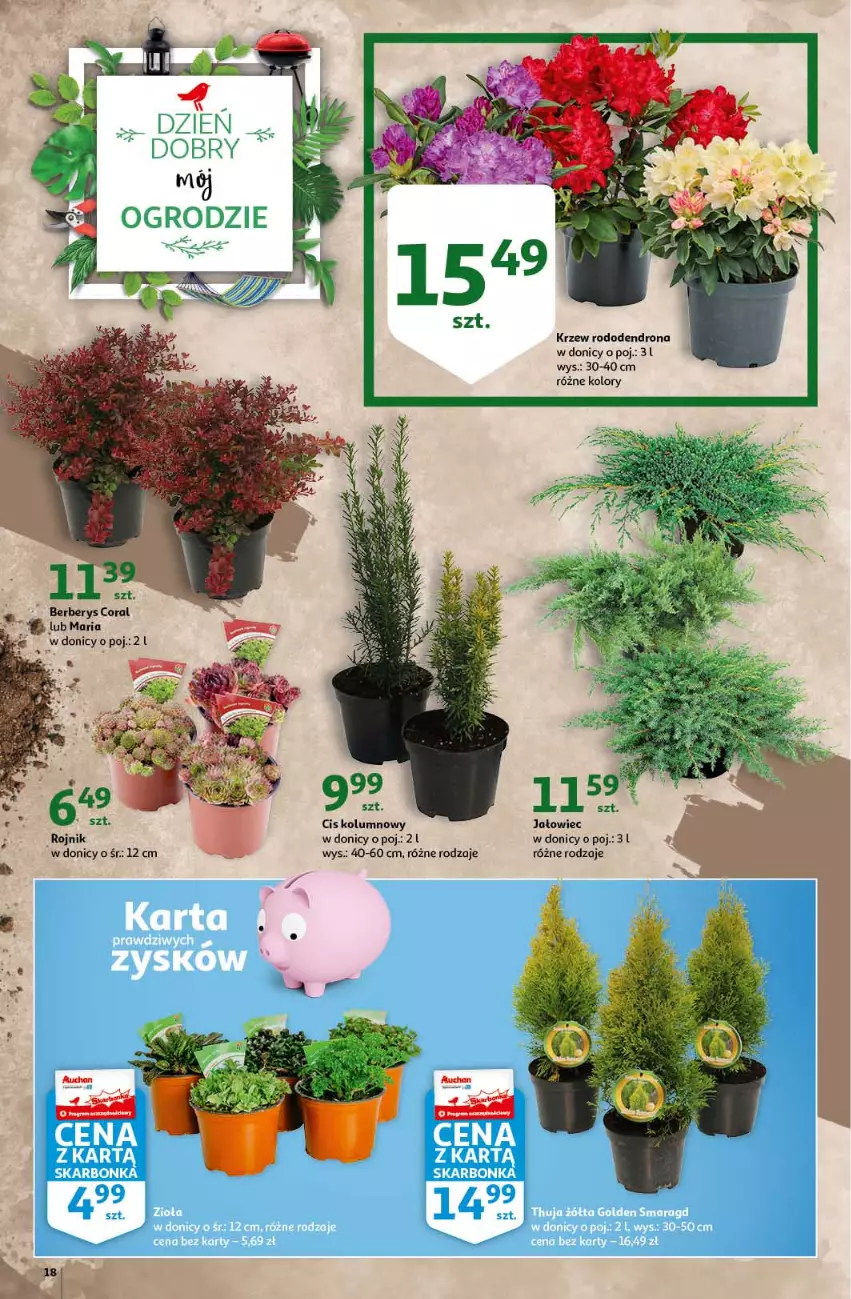 Gazetka promocyjna Auchan - Królestwo majsterkowicza Hipermarkety - ważna 08.04 do 14.04.2021 - strona 18 - produkty: 