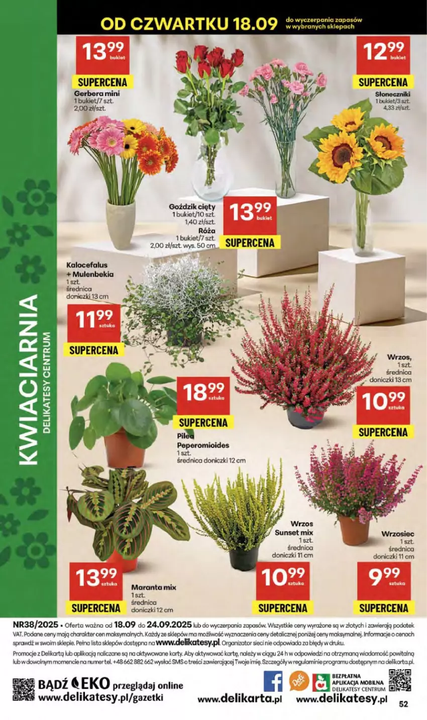 Gazetka promocyjna Delikatesy Centrum - Franczyza DC38 Czwartek - ważna 18.09 do 24.09.2025 - strona 52 - produkty: Bukiet, Fa, Gerber, Gra, Mule, Róża
