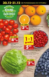 Gazetka promocyjna Biedronka - Od Poniedziałku - Gazetka - ważna od 04.01 do 04.01.2025 - strona 24 - produkty: Sałata lodowa, Pomarańcze, Sałat