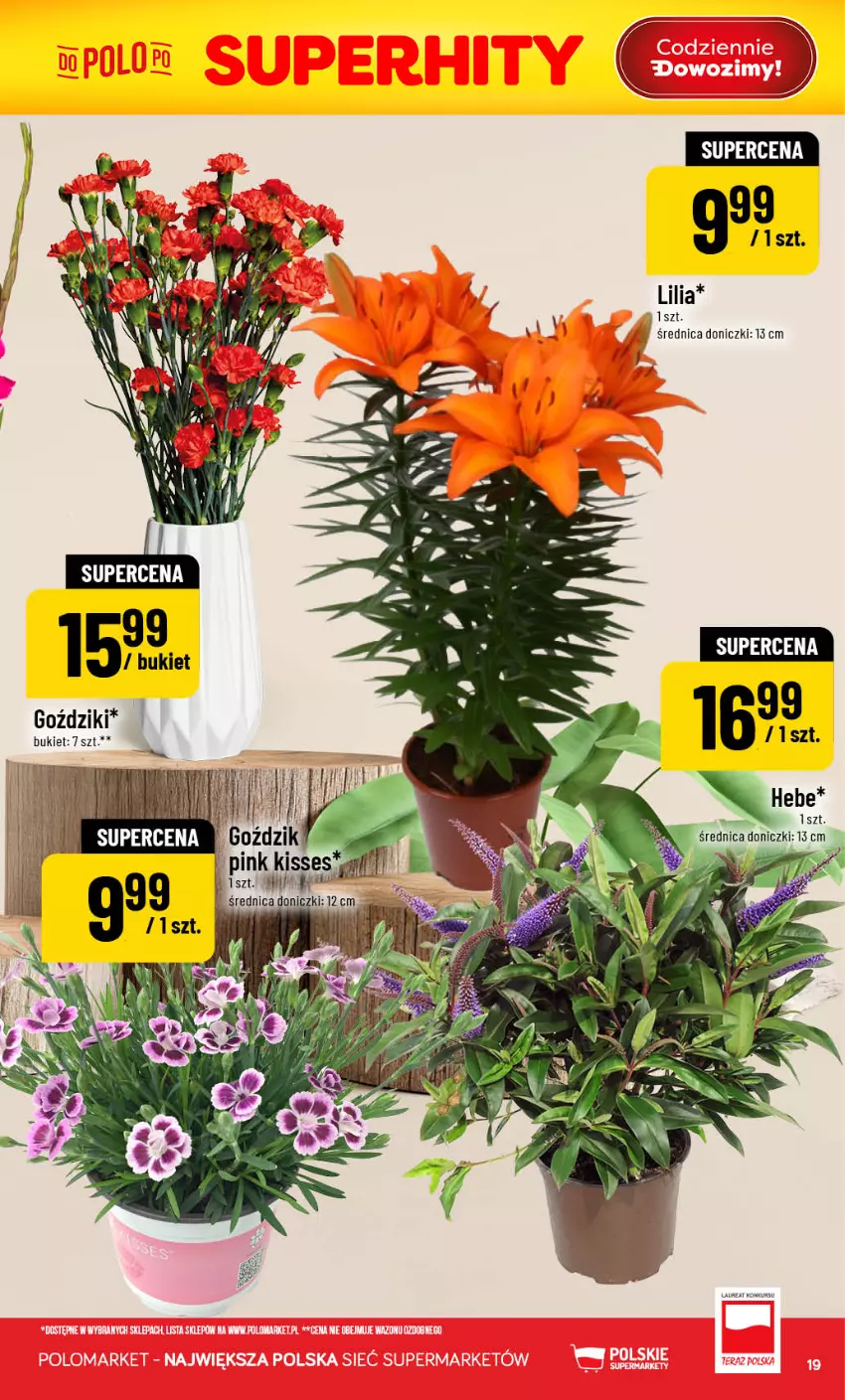 Gazetka promocyjna PoloMarket - Gazetka 32 - ważna 05.08 do 11.08.2026 - strona 19 - produkty: Bukiet, Laur