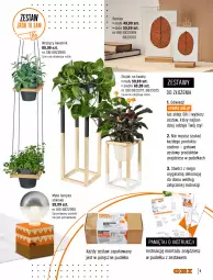 Gazetka promocyjna Obi - Gazetka OBI - Gazetka - ważna od 31.01 do 31.01.2023 - strona 5 - produkty: Top, Ser, Por, Mus, Gin, Pociąg, Stojak, Stolik, O nas, Ramka, Wkręt, Stolik kawowy, Kwietnik, Półka, Pudełko, Olej, Meble, Mięta, HP, Fa