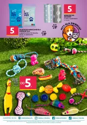 Gazetka promocyjna Dealz - NOWA GAZETKAWielkie Marki Mini Ceny - Gazetka - ważna od 12.07 do 12.07.2022 - strona 16 - produkty: Rolki, Chusteczki