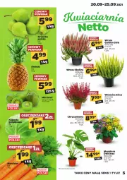 Gazetka promocyjna Netto - Gazetka spożywcza - Gazetka - ważna od 25.09 do 25.09.2021 - strona 5 - produkty: Chryzantema, Ananas, Kiwi, Tera