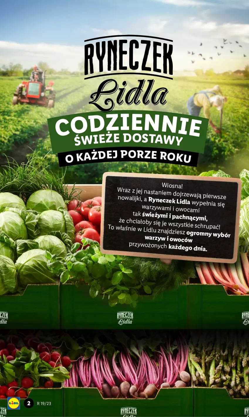 Gazetka promocyjna Lidl - GAZETKA - ważna 11.05 do 13.05.2023 - strona 2 - produkty: Por, Warzywa