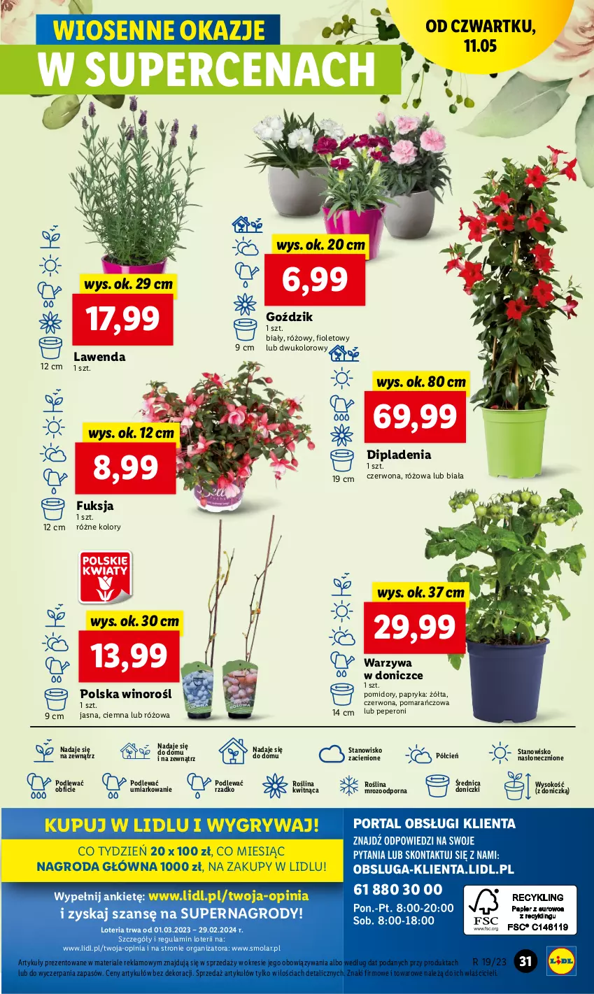 Gazetka promocyjna Lidl - GAZETKA - ważna 11.05 do 13.05.2023 - strona 37 - produkty: Cień, Gry, Mola, O nas, Papryka, Pomidory, Por, Sok, Warzywa, Wino