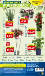 Gazetka promocyjna Lidl - GAZETKA - Gazetka - ważna od 13.05 do 13.05.2023 - strona 37 - produkty: Warzywa, Sok, Por, Gry, Papryka, Cień, O nas, Mola, Wino, Pomidory