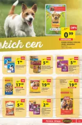 Gazetka promocyjna Arhelan - Gazetka - Gazetka - ważna od 08.08 do 08.08.2021 - strona 19 - produkty: Kurczak, Makaron, Warzywa, Ser, Rum, Whiskas, Friskies, Wołowina, Fanta, Felix, Fa