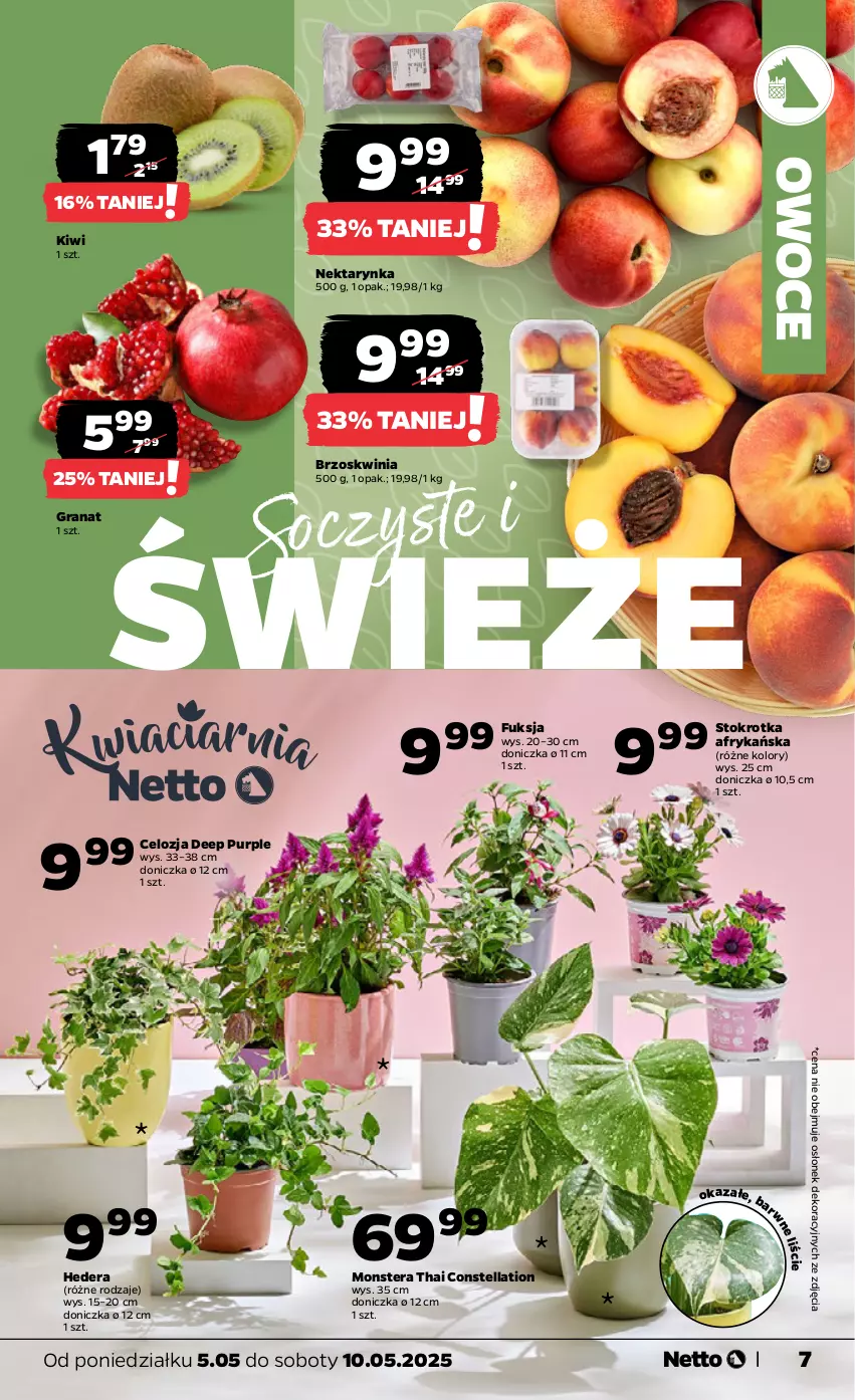 Gazetka promocyjna Netto - Od Poniedziałku - ważna 05.05 do 10.05.2025 - strona 7 - produkty: Gra, Granat, Kiwi, Nektar, Nektarynka, Owoce, Pur, Tera
