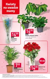 Gazetka promocyjna Stokrotka - Supermarket - Gazetka - ważna od 03.01 do 03.01.2024 - strona 6 - produkty: Hama, Warzywa, Bukiet, Owoce, Mięso