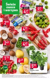 Gazetka promocyjna Stokrotka - Supermarket - Gazetka - ważna od 03.01 do 03.01.2024 - strona 7 - produkty: Warzywa, Gra, Papryka słodka, Papryka, Granat, Rukola, Sałat, Pomelo, Limonka, Bazyl, Owoce, Bazylia, Rzodkiewka, Mięta, Mięso, Kokos