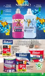 Gazetka promocyjna Delikatesy Centrum - Gazetka DC41czw-sr - Gazetka - ważna od 25.10 do 25.10.2023 - strona 39 - produkty: Papier, Perfum, Kask, Velvet, Ręcznik, Rolki