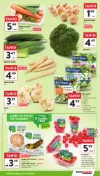 Gazetka promocyjna Intermarche - Gazetka promocyjna - Gazetka - ważna od 12.11 do 12.11.2025 - strona 13 - produkty: Cebula, Pietruszka, Ogórek, Sałat, Fa