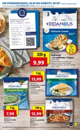 Gazetka promocyjna Lidl - GAZETKA - Gazetka - ważna od 27.10 do 27.10.2021 - strona 33 - produkty: Kurczak, Sałatka, Oliwki zielone, Ser, Por, Oliwki, Czosnek, Pomidorki, Rukola, Sałat, Bagietka, Feta, Grill, Gyros, Szpinak, Fa