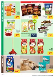 Gazetka promocyjna Carrefour - Gazetka Carrefour - Gazetka - ważna od 21.08 do 21.08.2021 - strona 22 - produkty: Prymat, Sos, Ser, Ryż, Pur, Kucharek, Oliwki, Bonduelle, Purina, Chappi, Fasola, Sonko, Pudliszki, Ryż biały, Fa